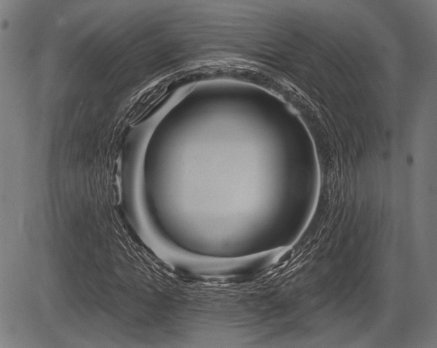 X0000083610822200702121113