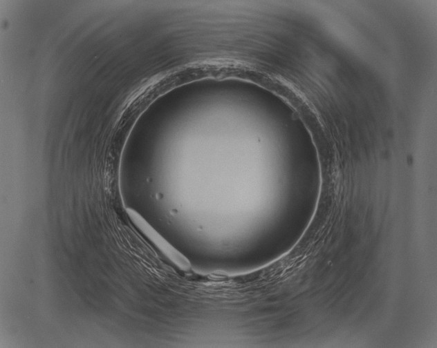 X0000083610823200702121113