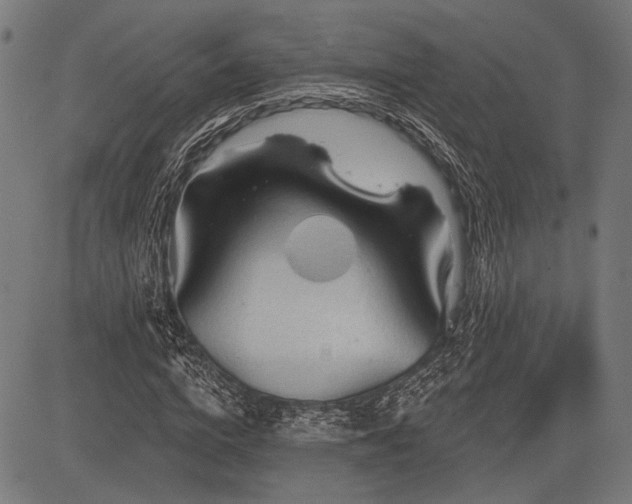 X0000083610824200702121113