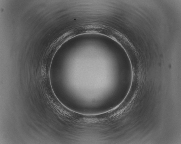 X0000083610825200702121113