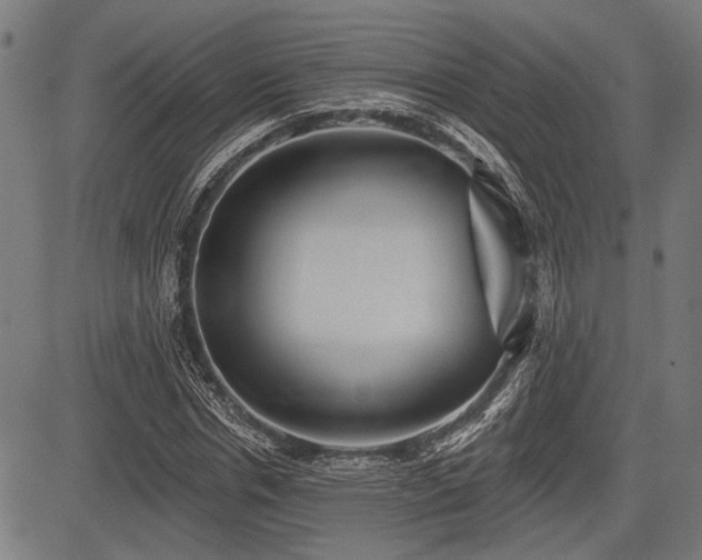 X0000083610826200702121113