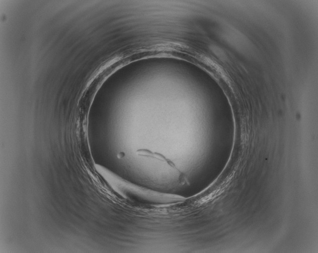 X0000083610827200702121113