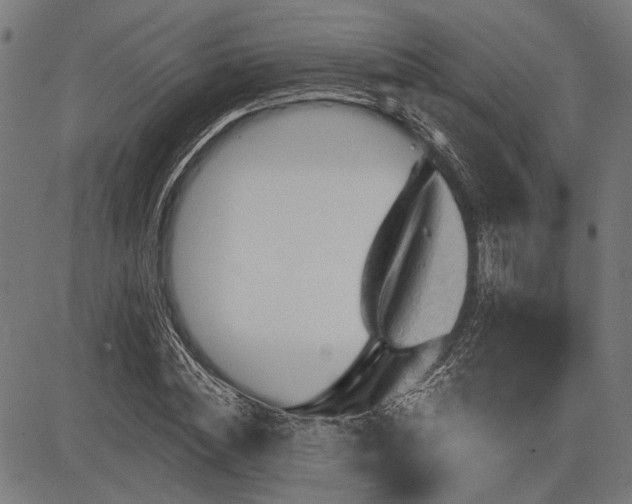 X0000083610828200702121113