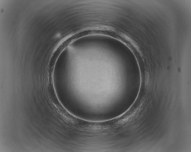 X0000083610829200702121113