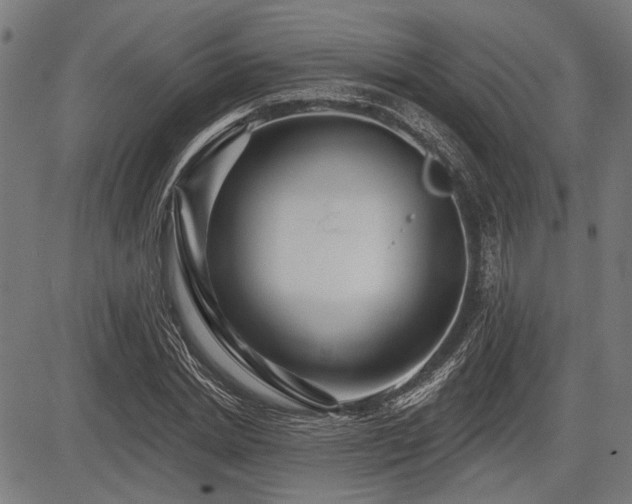 X0000083610830200702121113