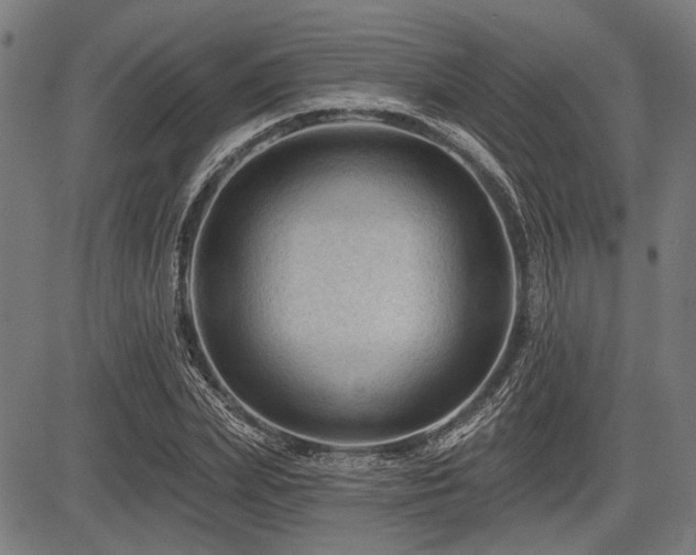 X0000083610831200702121113