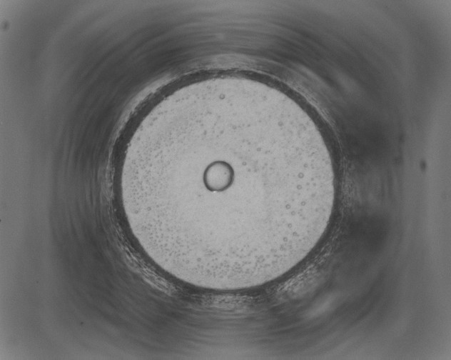 X0000083610832200702121113