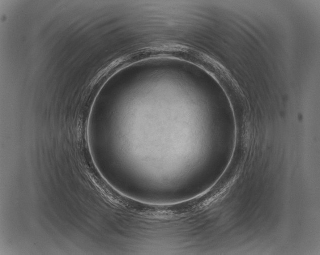 X0000083610833200702121113