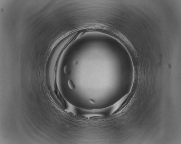 X0000083610834200702121113