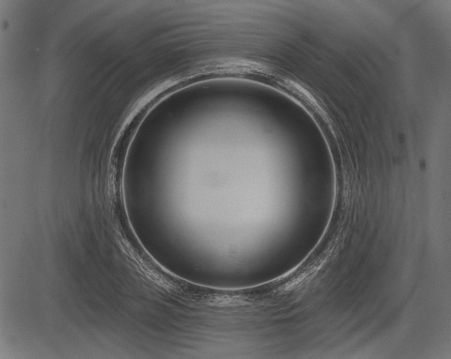 X0000083610835200702121113