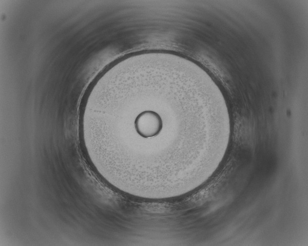 X0000083610836200702121113