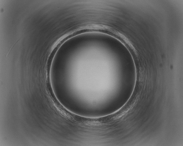 X0000083610837200702121113