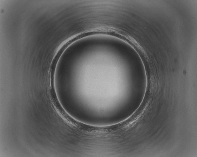 X0000083610838200702121113