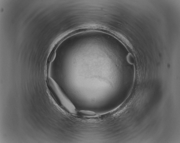 X0000083610839200702121113