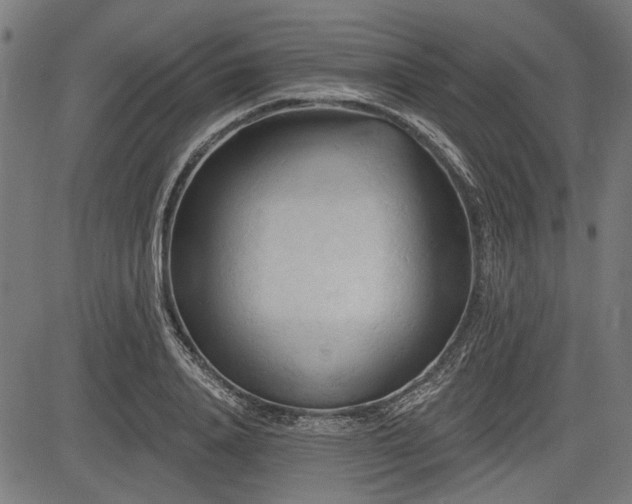 X0000083610840200702121113