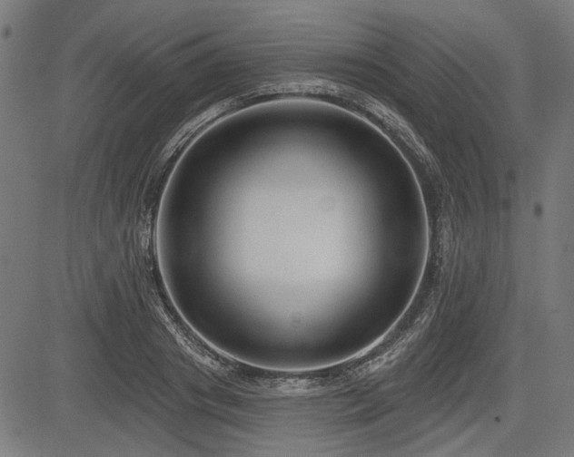 X0000083610841200702121113