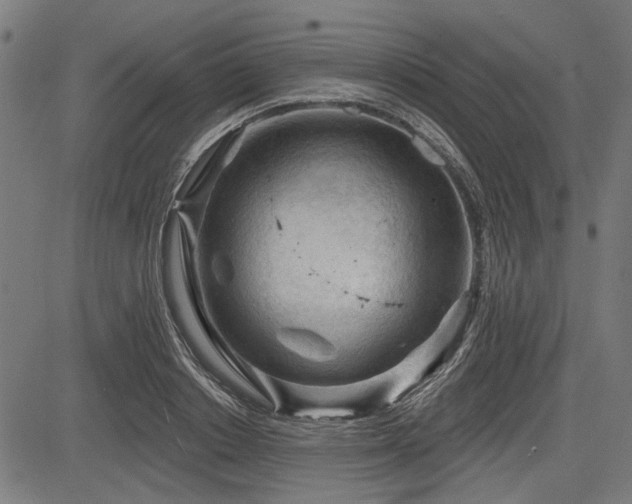 X0000083610842200702121113