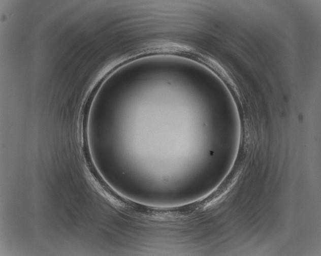 X0000083610843200702121113