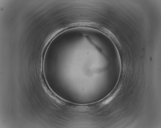 X0000083610844200702121113