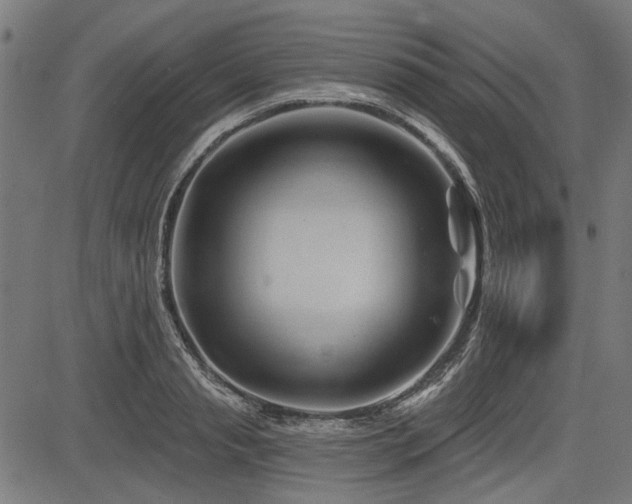 X0000083610845200702121113