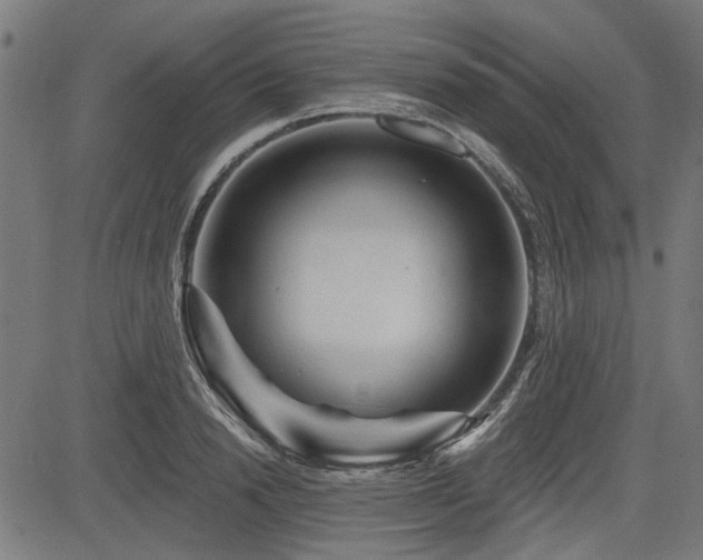 X0000083610846200702121113