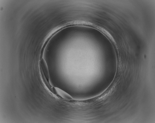 X0000083610847200702121113