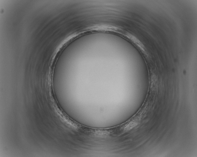 X0000083610848200702121113