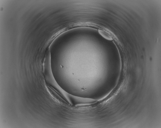 X0000083610849200702121113