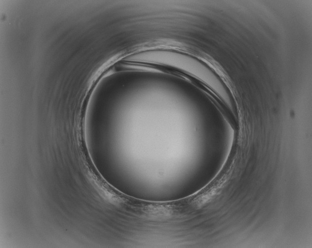 X0000083610850200702121113