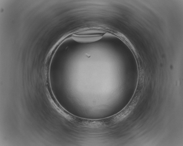 X0000083610851200702121113