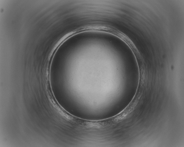 X0000083610852200702121113