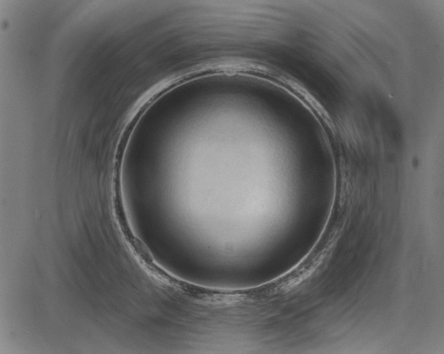 X0000083610853200702121113