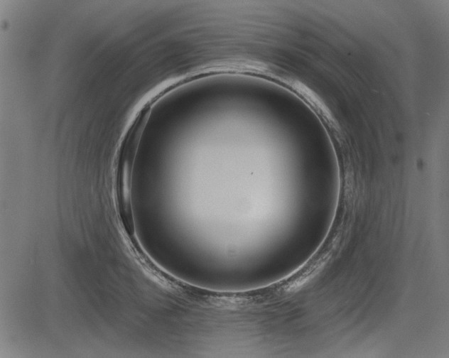 X0000083610854200702121113