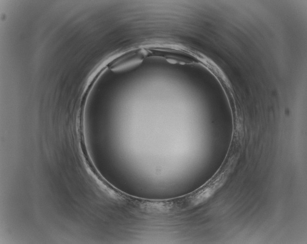 X0000083610855200702121113