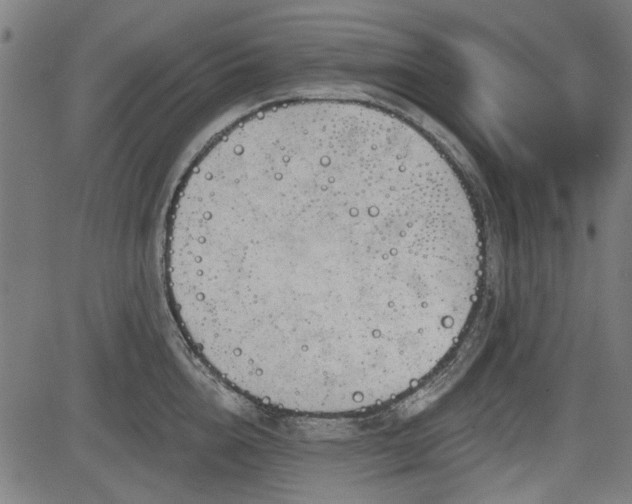 X0000083610856200702121113