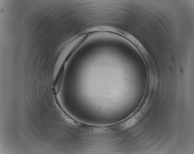 X0000083610857200702121113