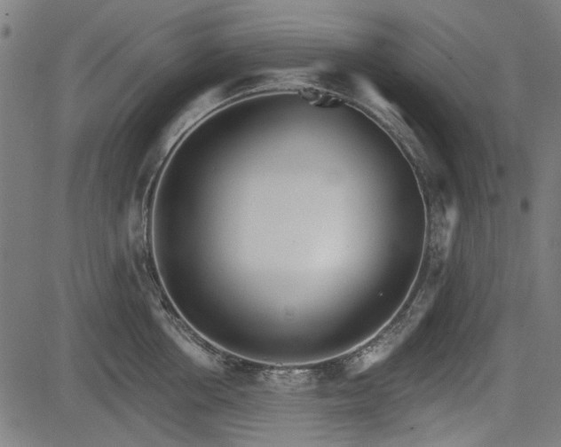 X0000083610858200702121113