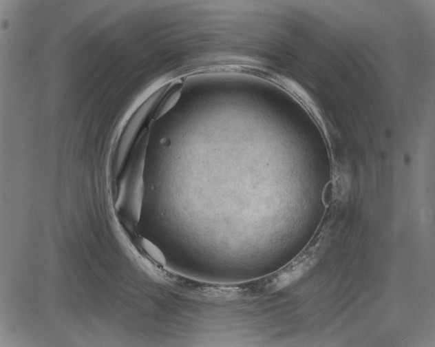 X0000083610859200702121113