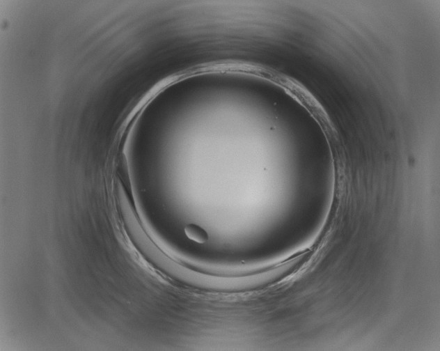 X0000083610860200702121113