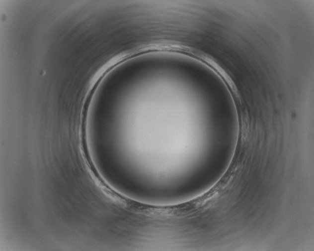 X0000083610861200702121113