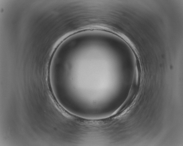 X0000083610862200702121113