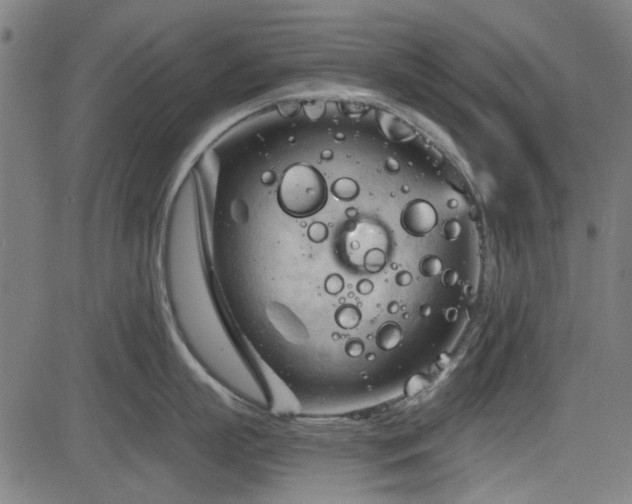 X0000083610863200702121113