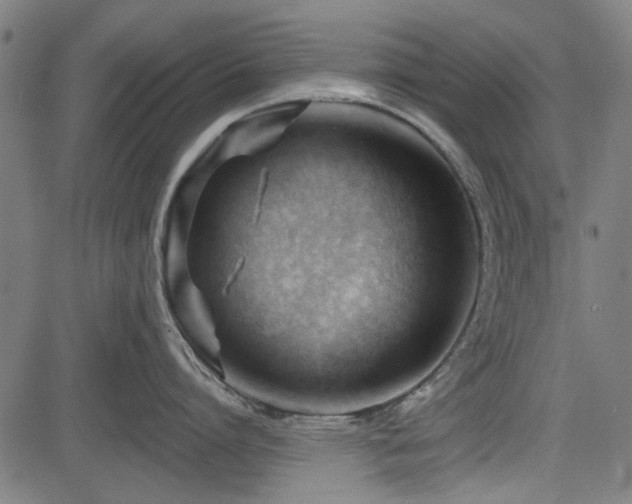 X0000083610864200702121113