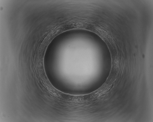 X0000083610865200702121113