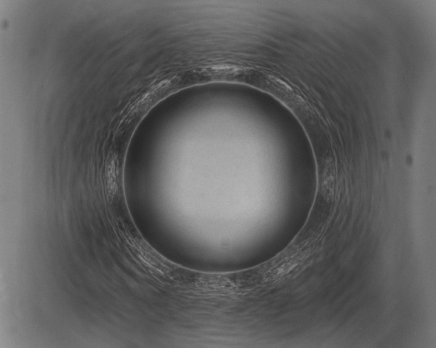 X0000083610866200702121113