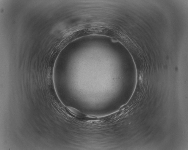 X0000083610867200702121113