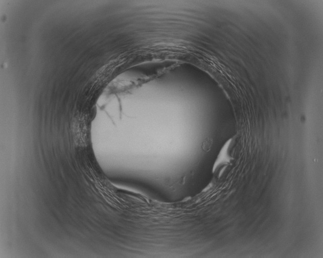 X0000083610868200702121113