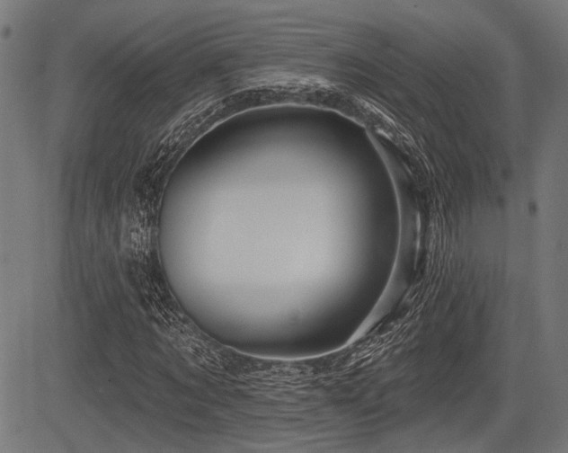 X0000083610869200702121113