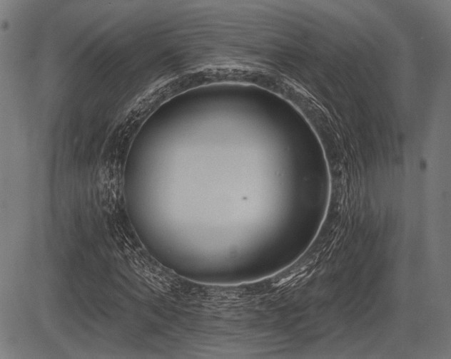 X0000083610870200702121113