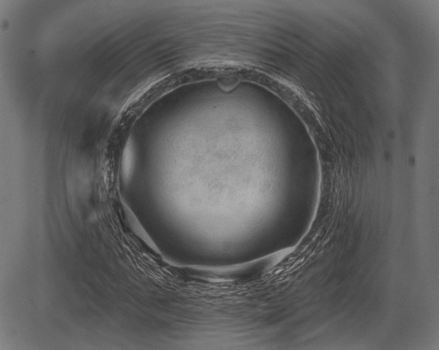 X0000083610871200702121113